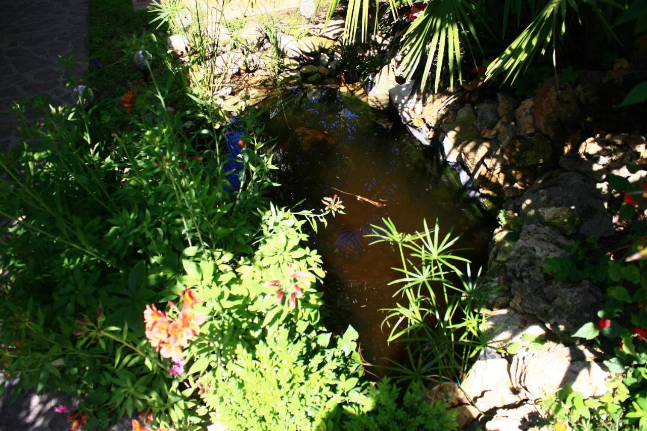 Garden FuoriRotta Bed and Breakfast San Giovanni Teatino Exteriör bild